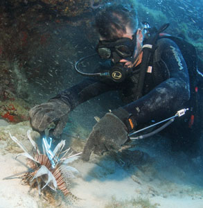 Chad Carney taming a Lionfish!
